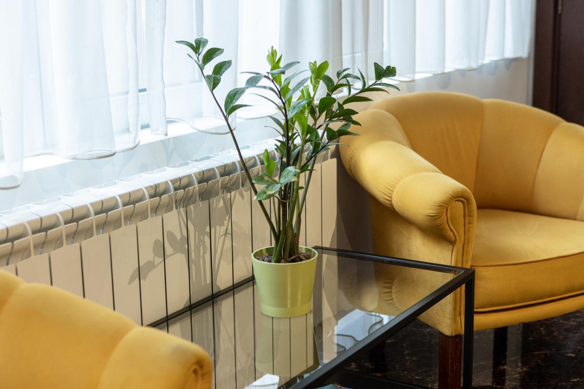 Garni House 46 Plus Beograd Eksteriør billede